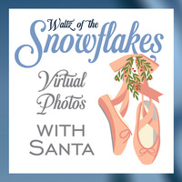 2022 ACA Virtual Photo Package during Waltz of the Snowflakes